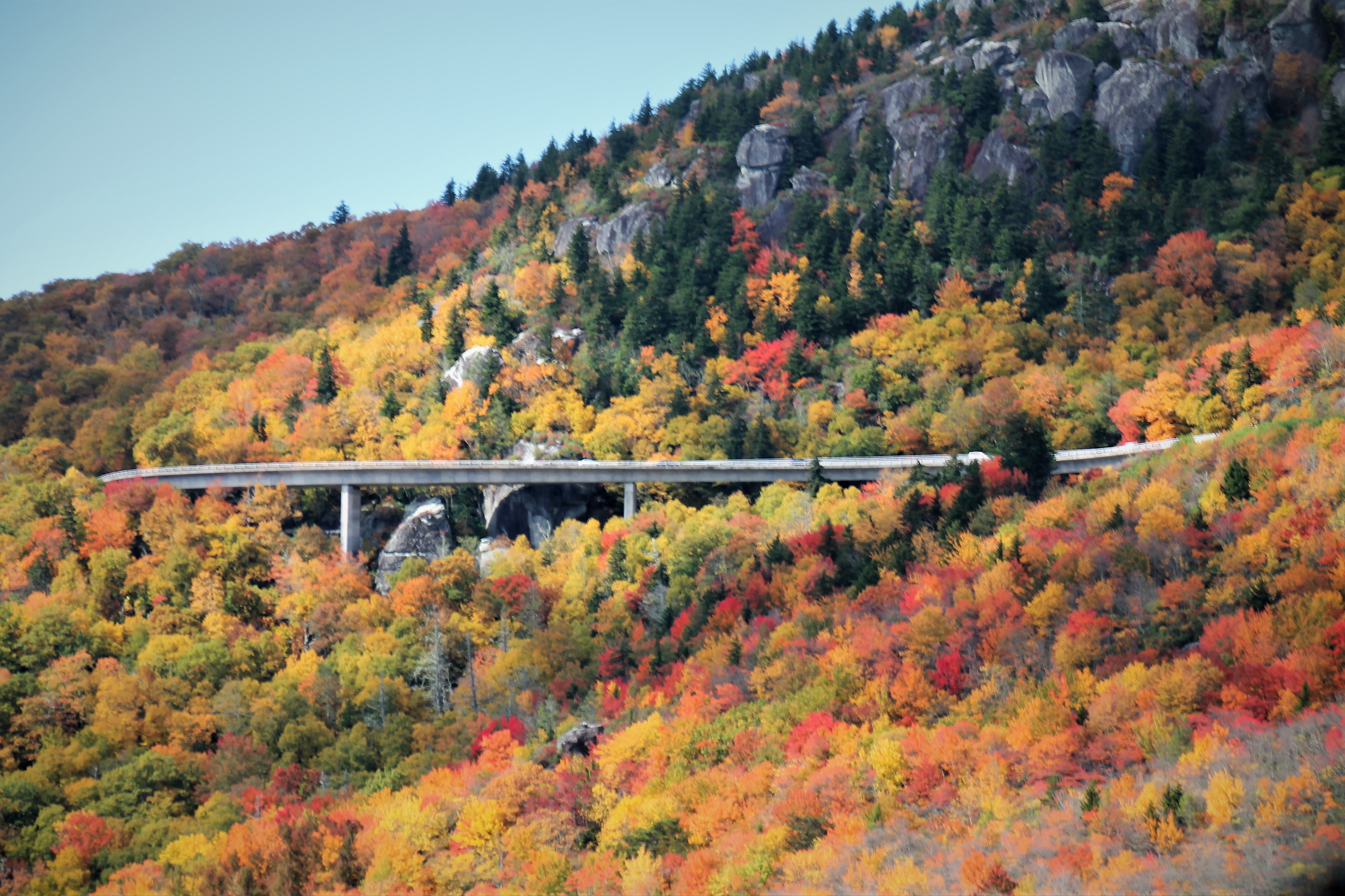The Blue Ridge Parkway Is Reopening!