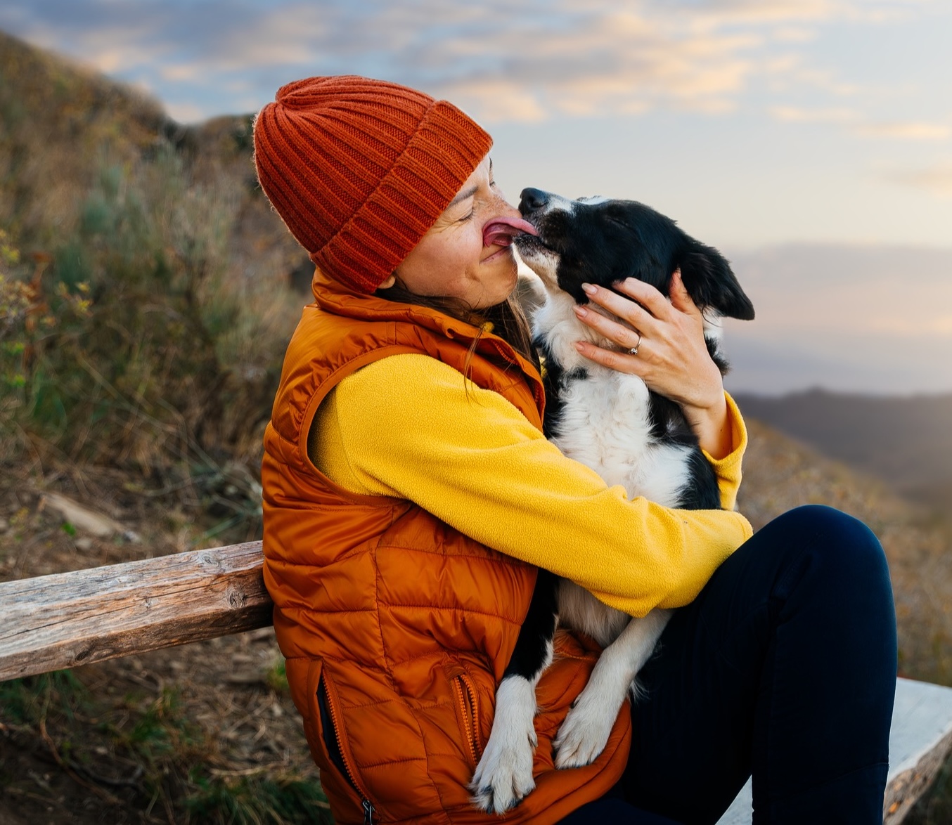 Pet Friendly Rentals callout