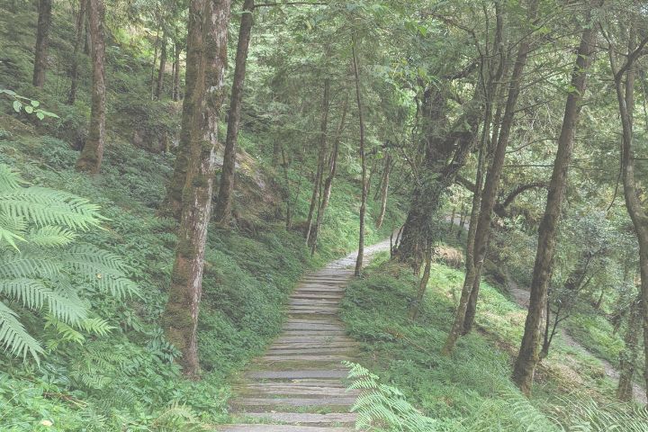 Things To Do Hiking Trails
